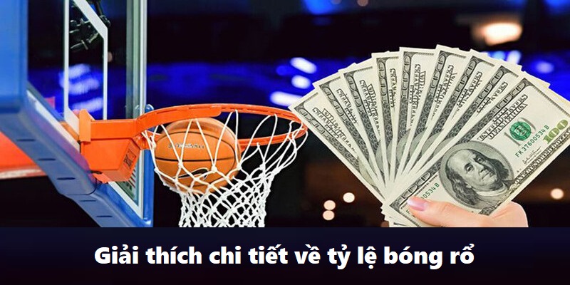 Giải thích chi tiết về tỷ lệ bóng rổ