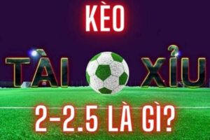 Kèo Tài Xỉu 2-2.5 Là Gì? Bỏ Túi Bí Kíp Bắt Kèo Thắng Đậm 